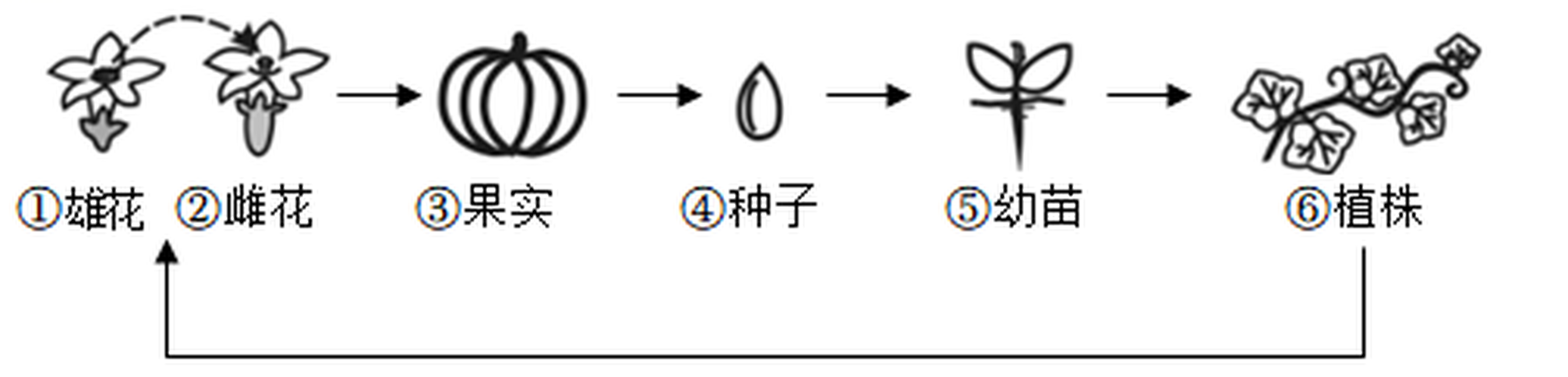 arc_q10.png
