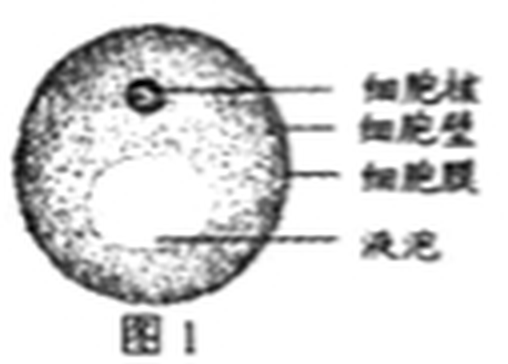arc_q10_fig1.png