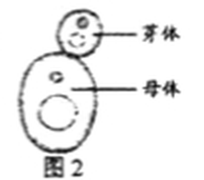 arc_q10_fig2.png