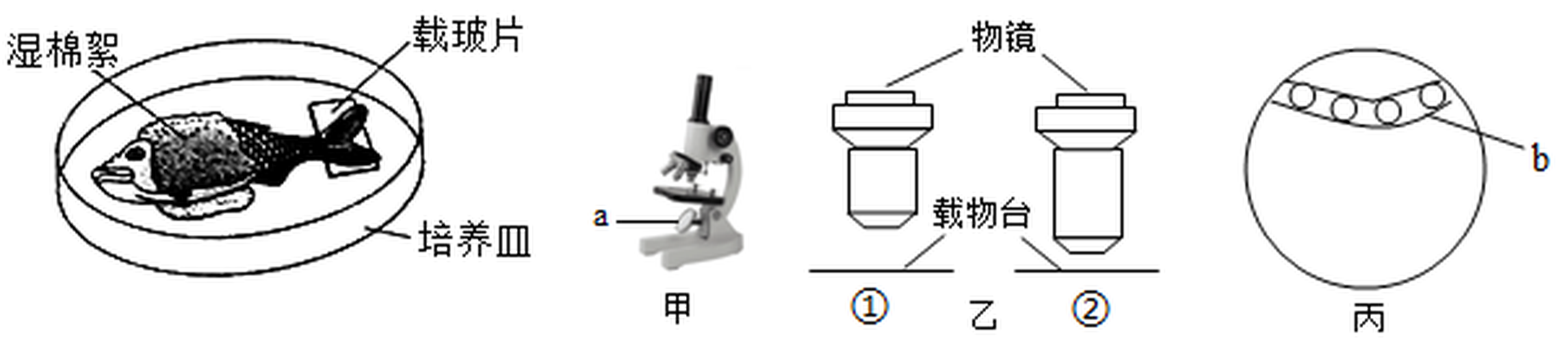 arc_q10_wjx.png