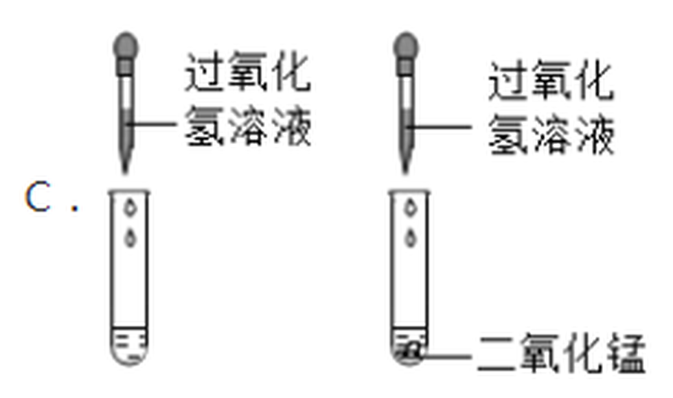 arc_q14_C.png