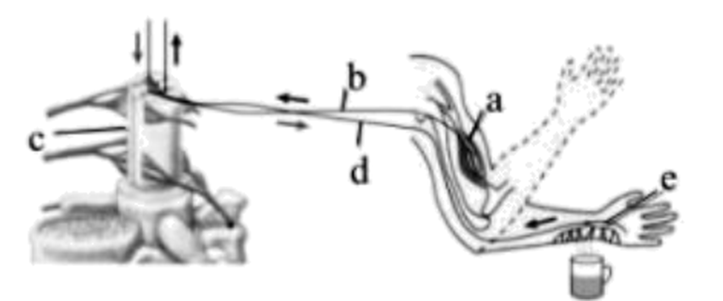 arc_q14_jia.png