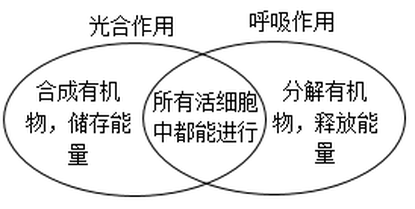 arc_q15_optB.png