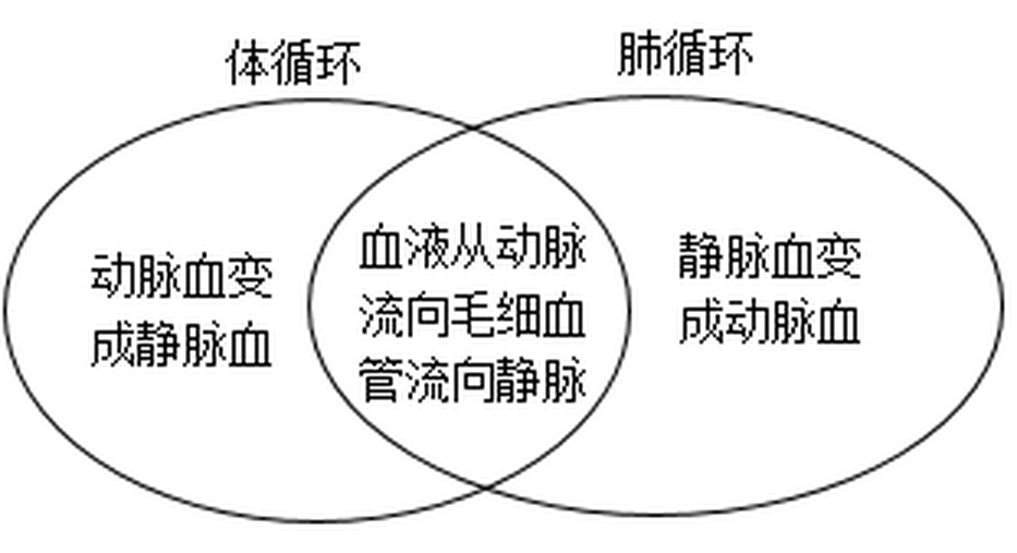 arc_q15_optD.png