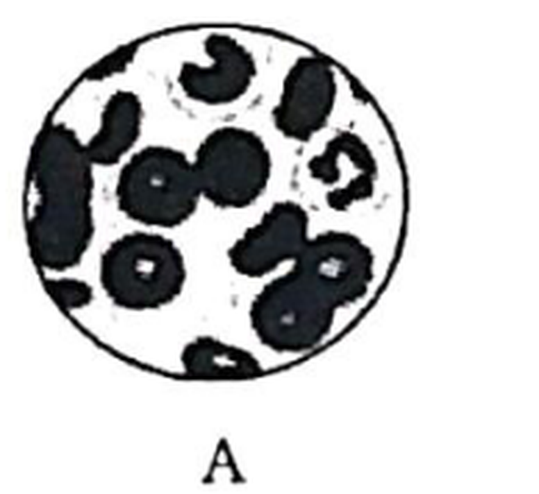 arc_q18_A.png
