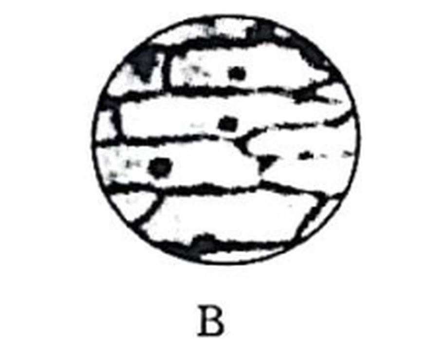 arc_q18_B.png