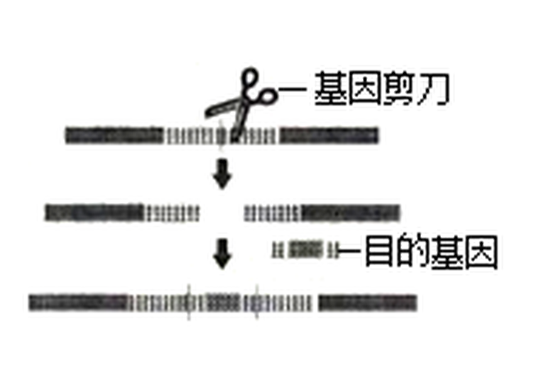 arc_q19.png