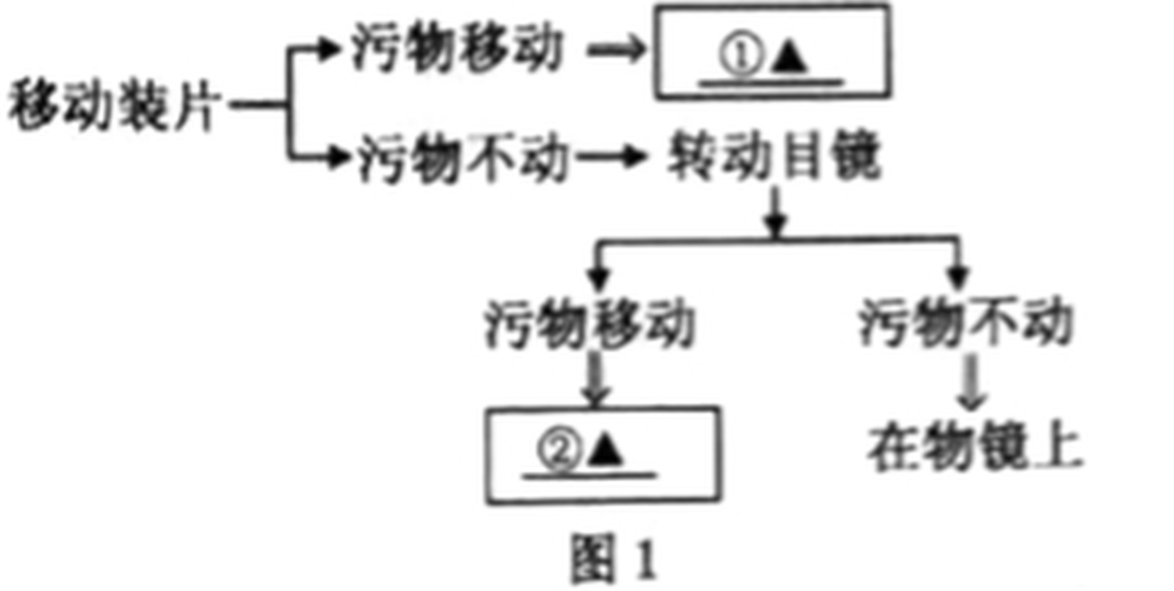 arc_q23_fig1.png
