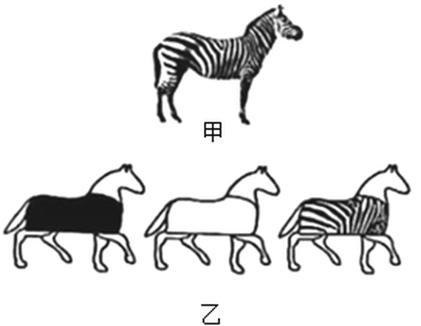 arc_q24_jiayi.png