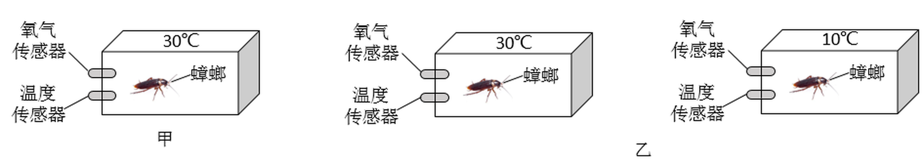arc_q25_jiayi.png