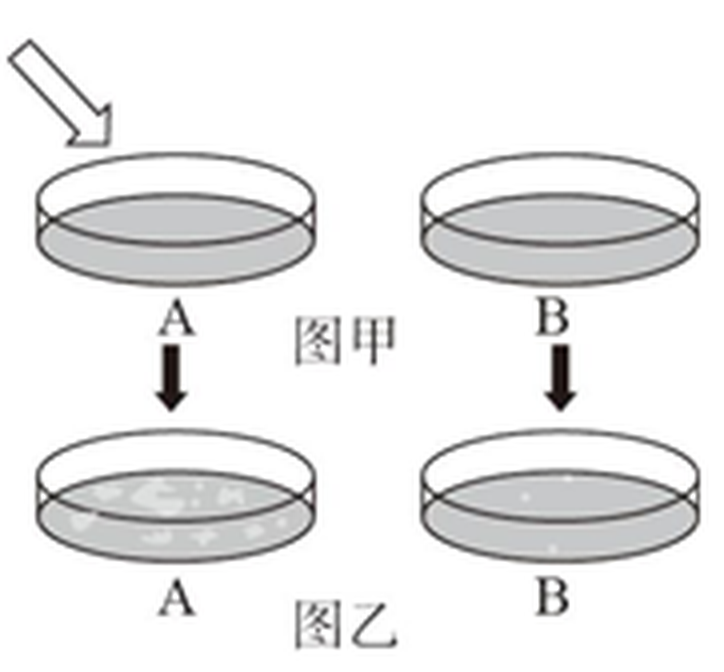 arc_q27_dishes.png