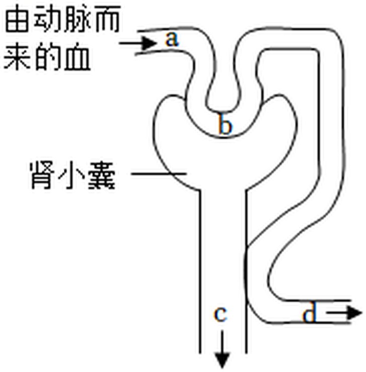 arc_q29_shen.jpg