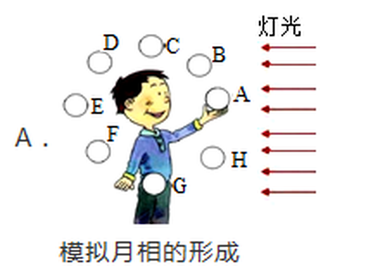 arc_q4_A.png