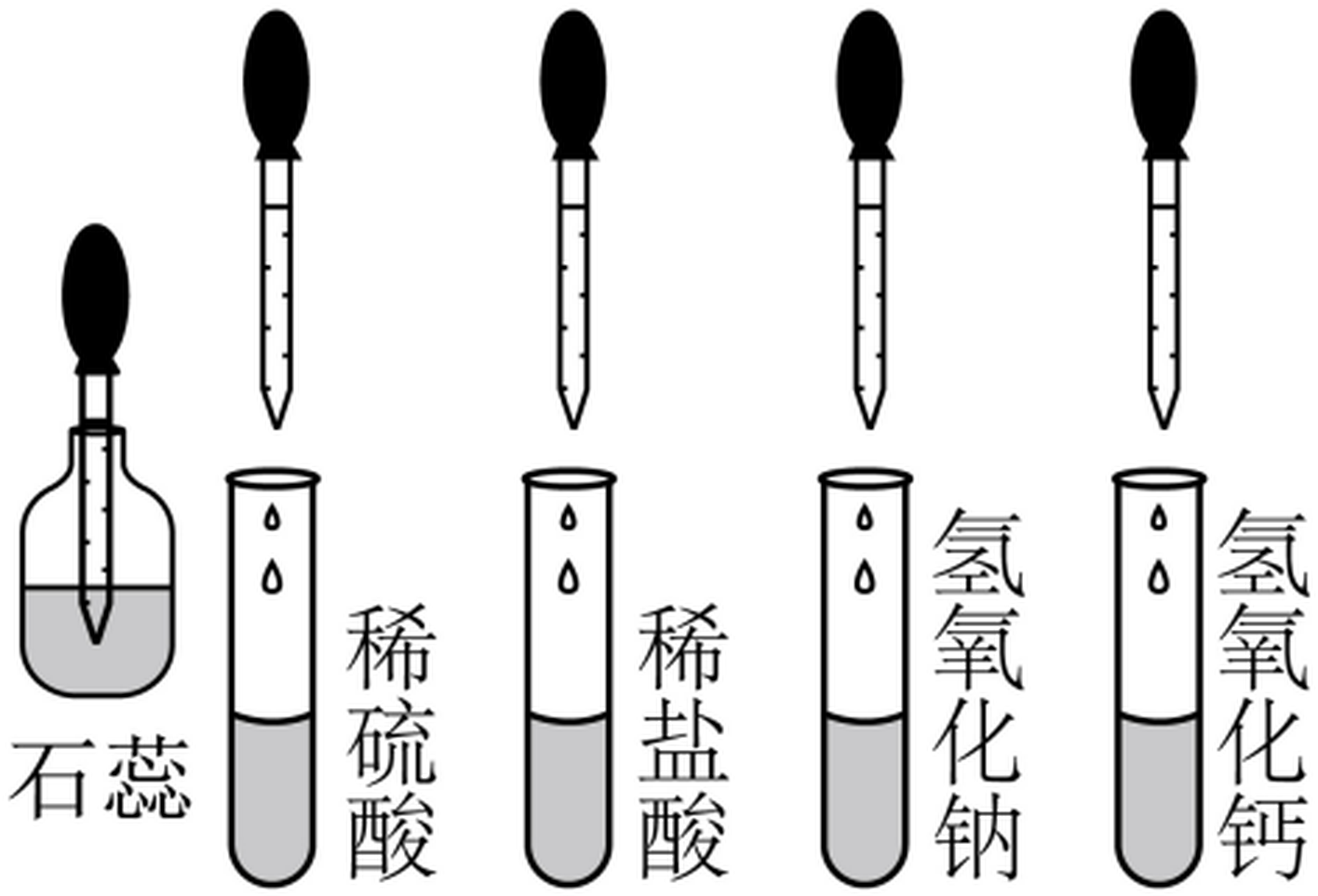 arc_q5_C_shirui.png