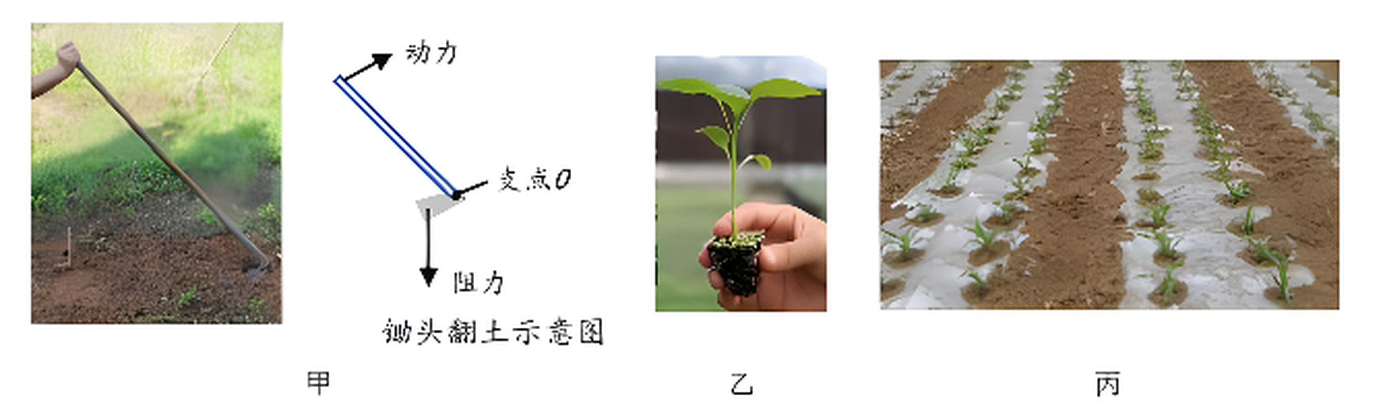 arc_qzk23_q30.png