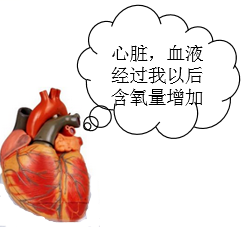 doc_q11_1.png