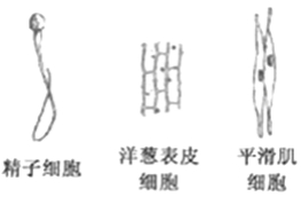 hangzhou-kexue-2017_arc_q4.png