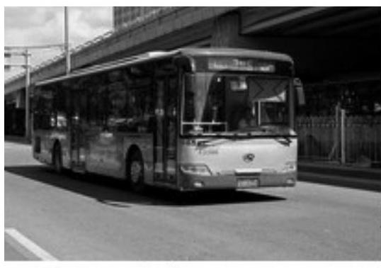 jinhua-2019_crop_q16_fig1.jpg