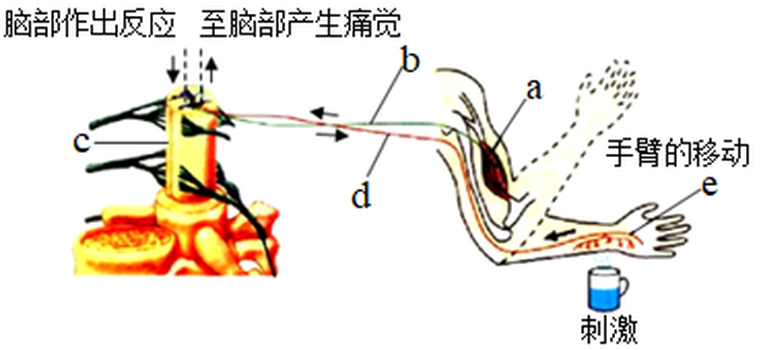 jinhua-kexue-2021_arc_q17.png