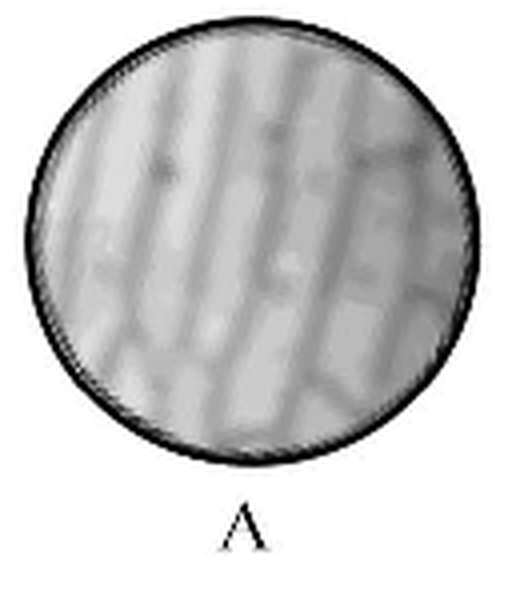 lishui-jinhua-kexue-2018_arc_q18_a.png