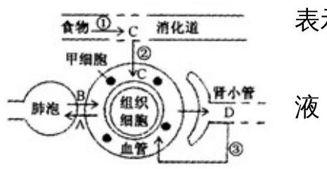 mp_00bc60229b.jpg