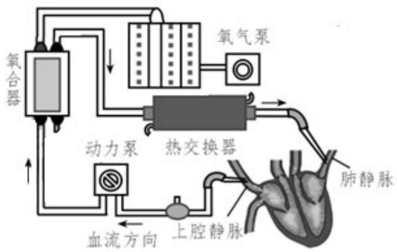 mp_00f930fe96.jpg