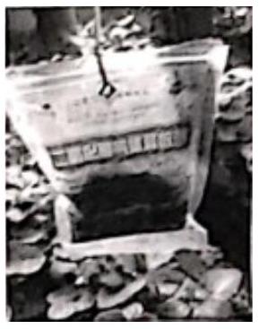 mp_020036cc1c.jpg