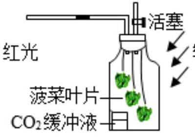 mp_0218b09080.jpg