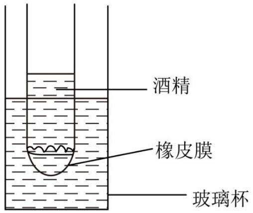 mp_02efae5211.jpg