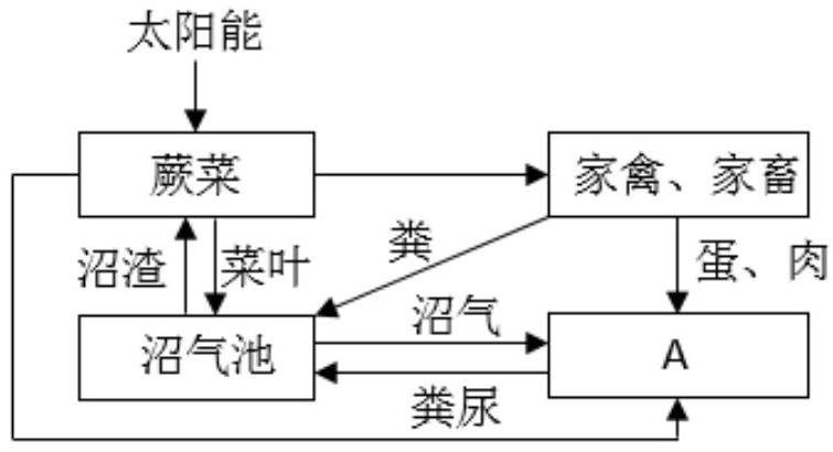 mp_0360e36d67.jpg