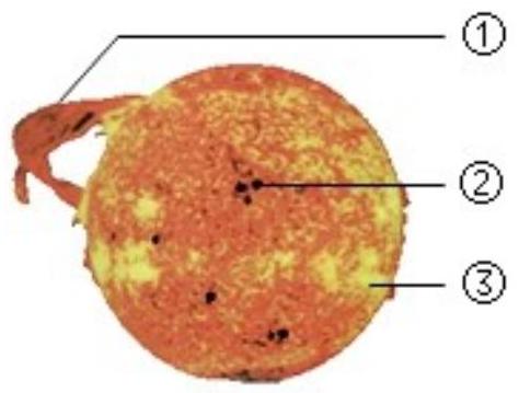 mp_03ba2f7978.jpg