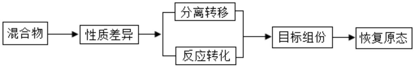 mp_03fba79868.jpg