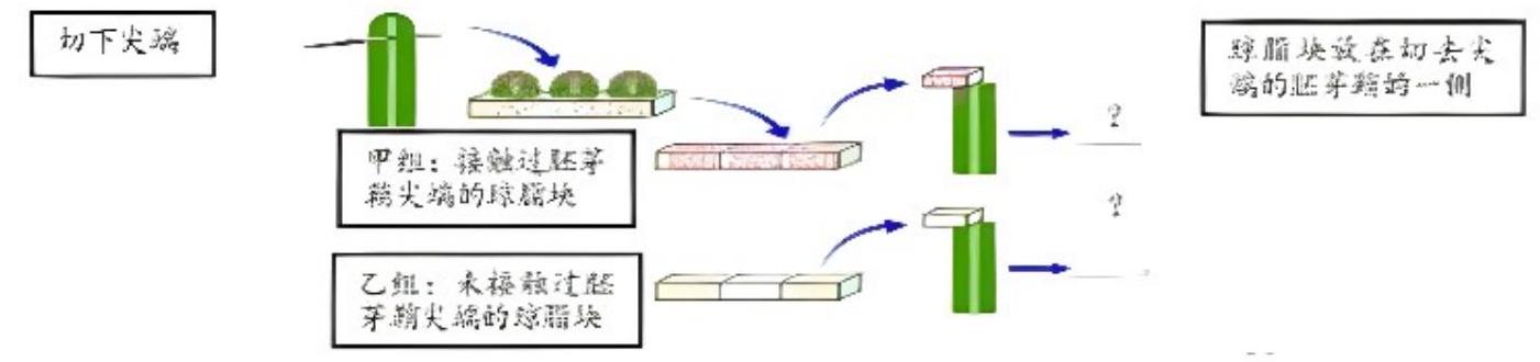 mp_05e21c7fc2.jpg