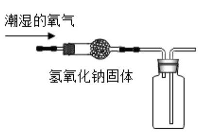 mp_081e25051e.jpg