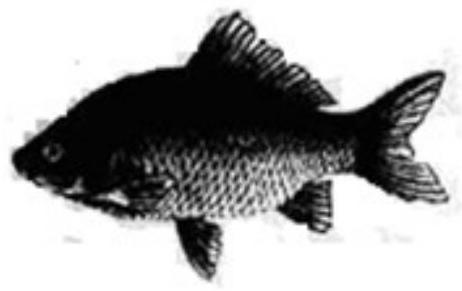 mp_0886444148.jpg