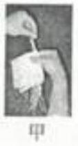 mp_09ad7f9378.jpg