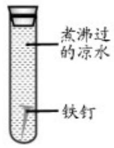 mp_0aa34336b6.jpg