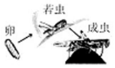 mp_0c37071dda.jpg