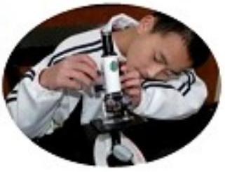 mp_0c6bb7eb69.jpg