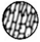mp_0d041de885.jpg