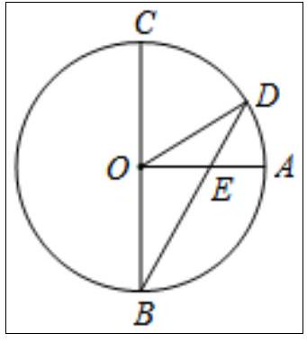 mp_0d31174d96.jpg