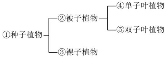mp_0dfd555a3e.jpg