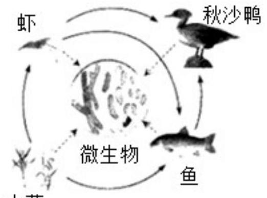 mp_0e7f637a16.jpg