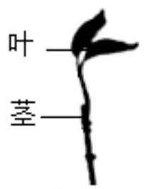 mp_0fb73dc535.jpg