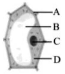mp_10f205547f.jpg