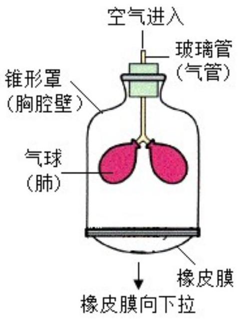 mp_130f532a56.jpg