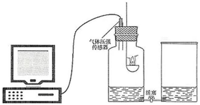 mp_14c5b37b8b.jpg