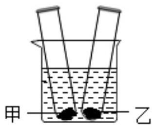 mp_150fff029c.jpg
