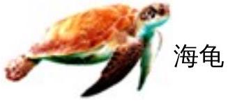 mp_151582b132.jpg