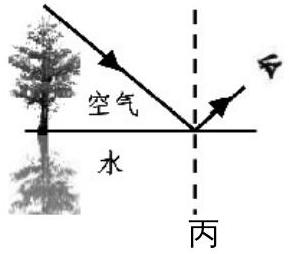 mp_157f973ffc.jpg